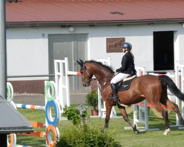 Reitturnier Forst 2023