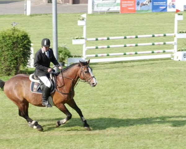Reitturnier Forst 2023