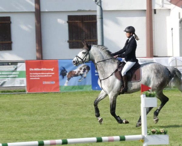 Reitturnier Forst 2023