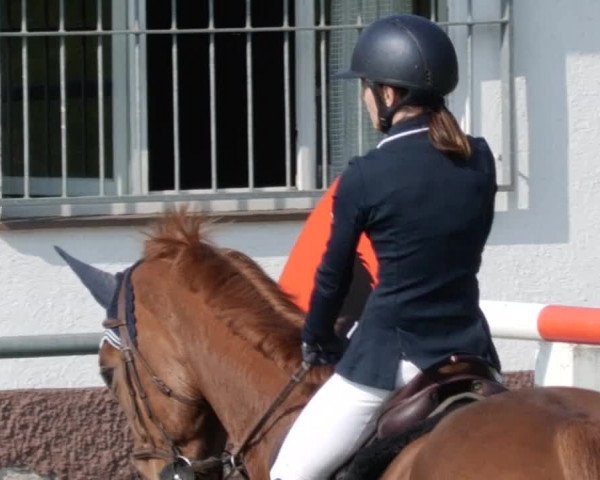 Reitturnier Forst 2023