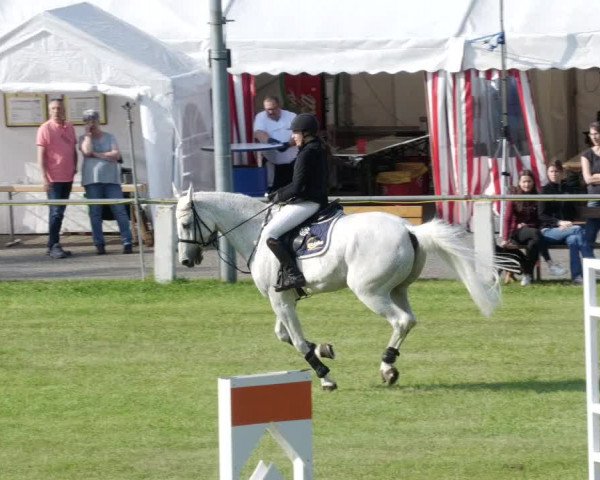 Reitturnier Forst 2023