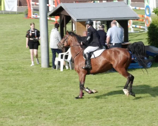 Reitturnier Forst 2023