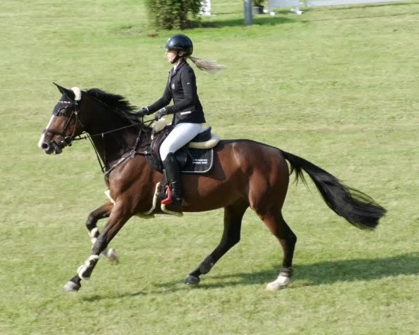Reitturnier Forst 2023