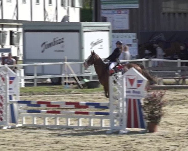 Reitturnier Siegen-Weidenau 2023