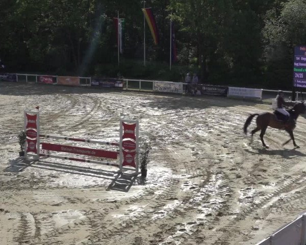 Reitturnier Siegen-Weidenau 2023
