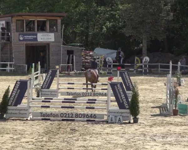 Reitturnier Siegen-Weidenau 2023