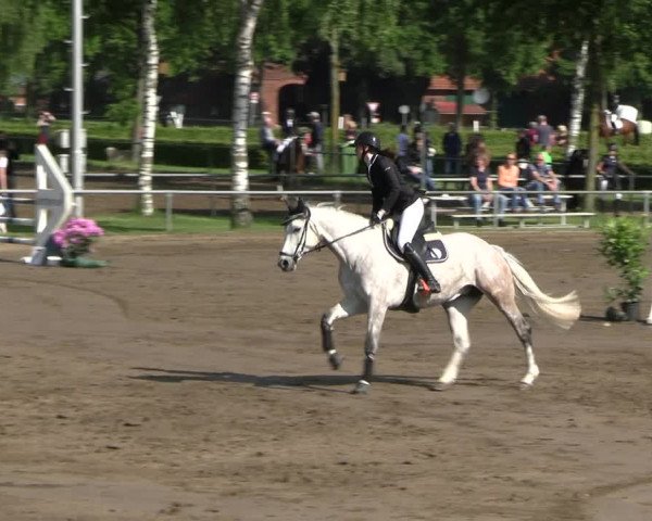 Reitturnier Seppenrade 2023
