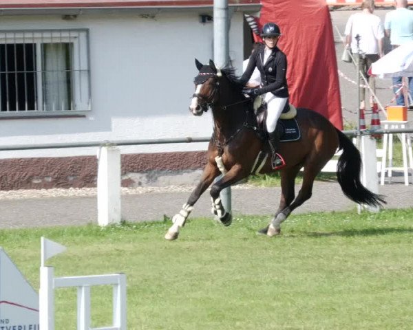 Reitturnier Forst 2023