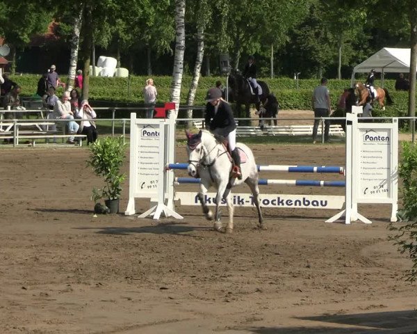 Reitturnier Seppenrade 2023