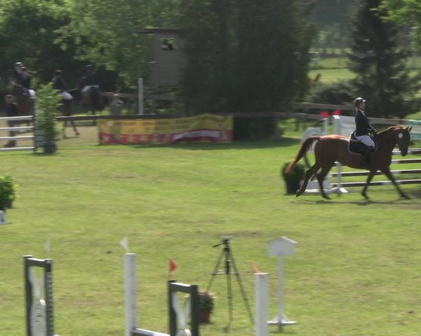 Reitturnier Pennigbüttel 2023