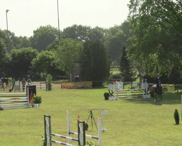 Reitturnier Pennigbüttel 2023