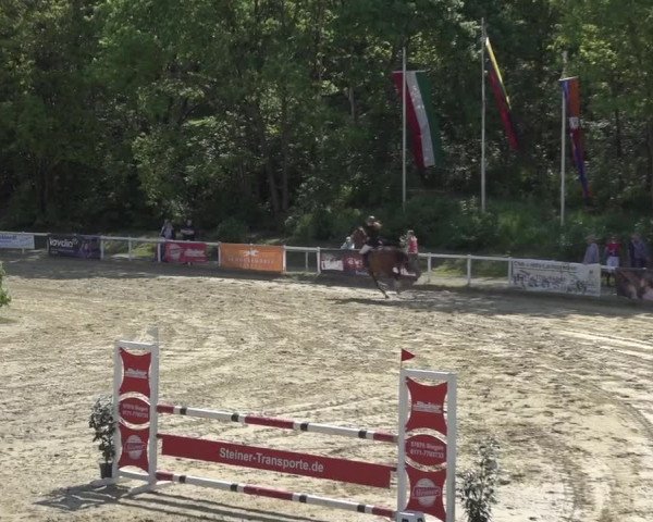 Reitturnier Siegen-Weidenau 2023