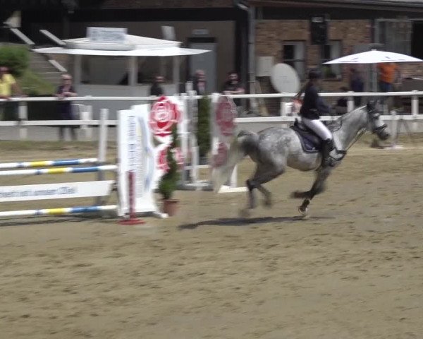 Reitturnier Siegen-Weidenau 2023