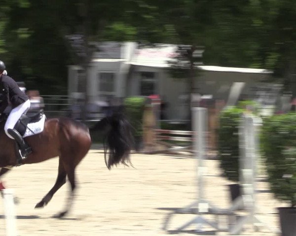 Reitturnier Bochum 2023
