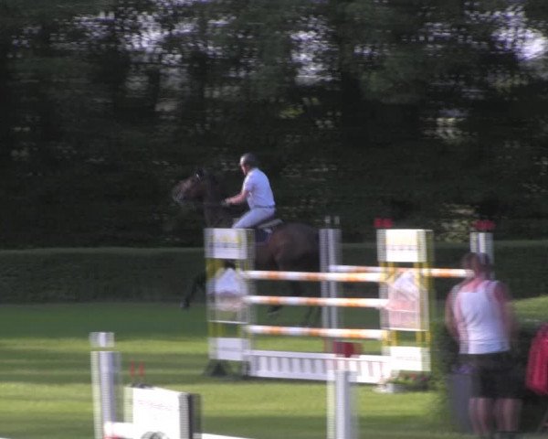 Reitturnier Westeregeln 2023