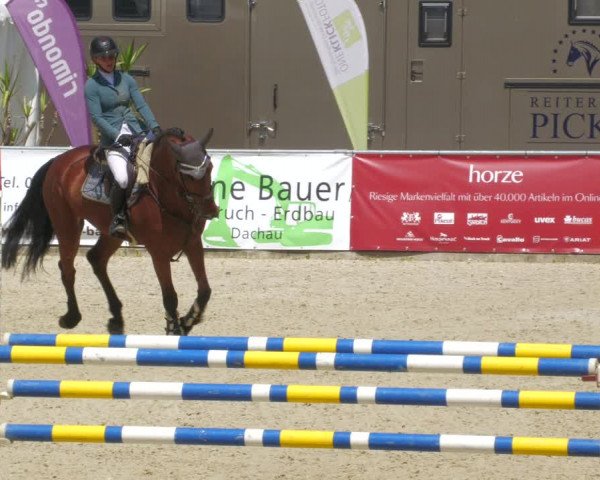 Reitturnier Karlsfeld/Obb. 2023