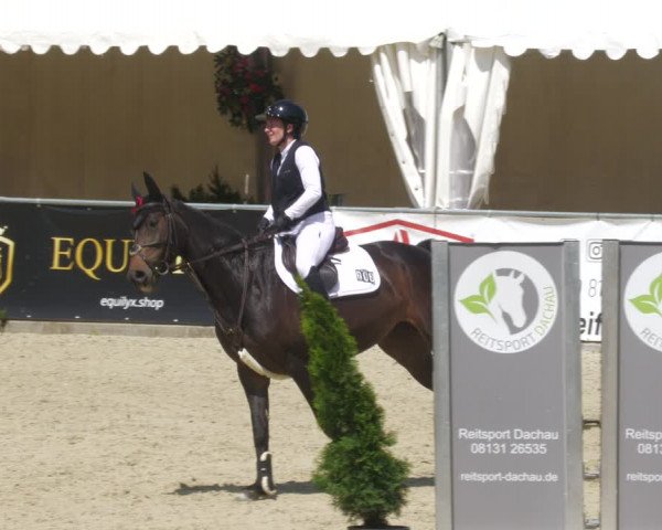 Reitturnier Karlsfeld/Obb. 2023