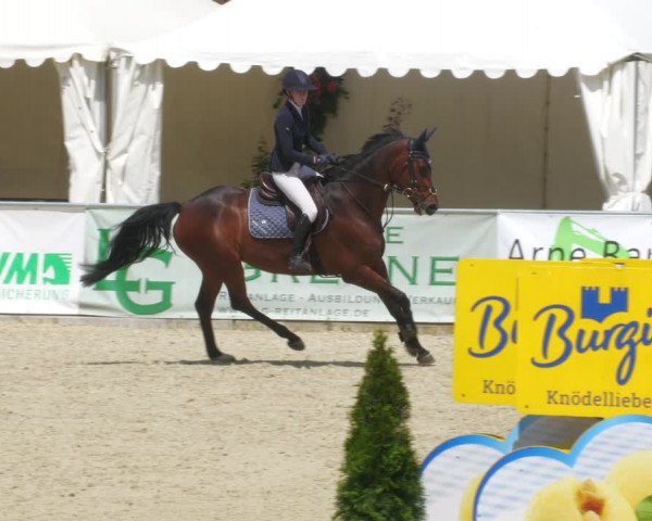 Reitturnier Karlsfeld/Obb. 2023