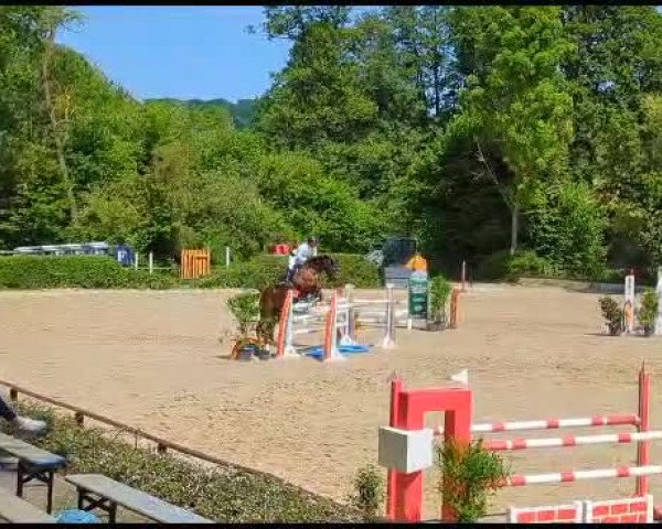 Video von Chelly Belly