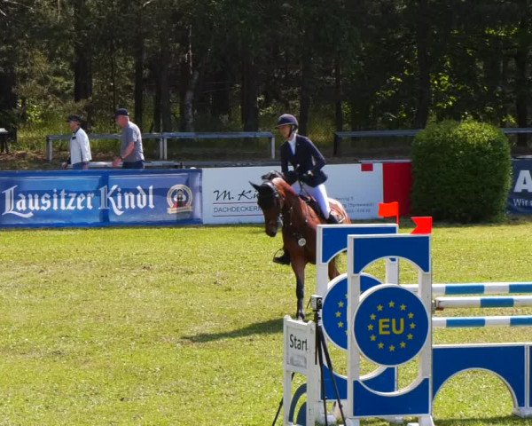 Reitturnier Cottbus-Sielow 2023