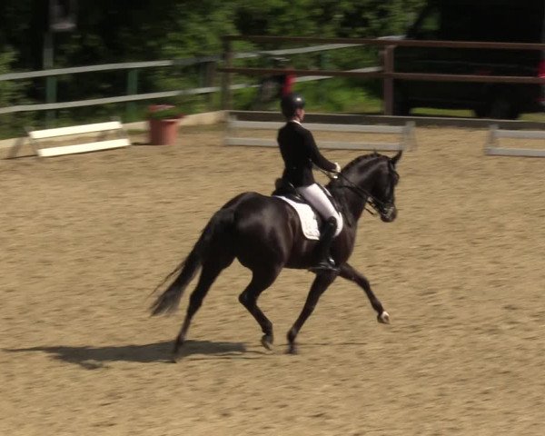 Reitturnier Iserlohn-Kalthof 2023