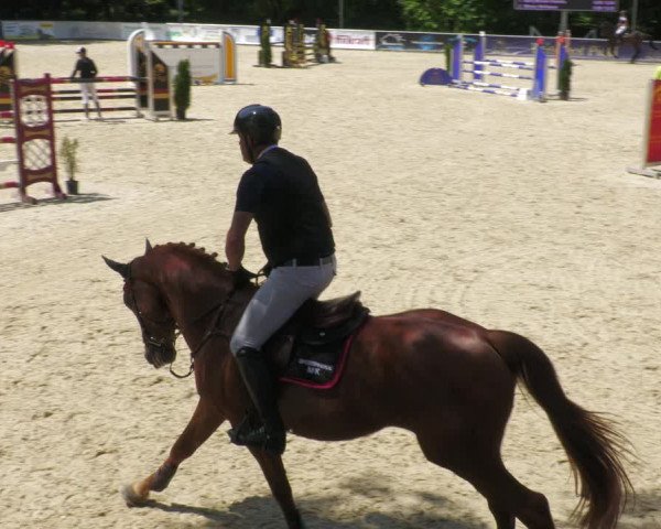 Reitturnier Karlsfeld/Obb. 2023
