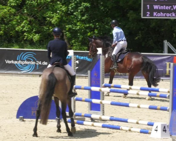 Reitturnier Karlsfeld/Obb. 2023