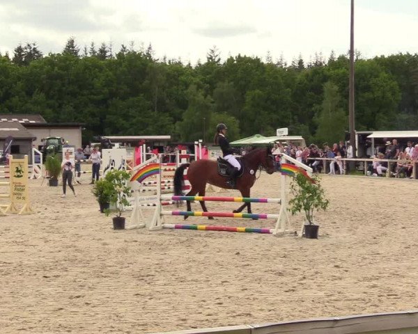 Reitturnier Kropp 2023