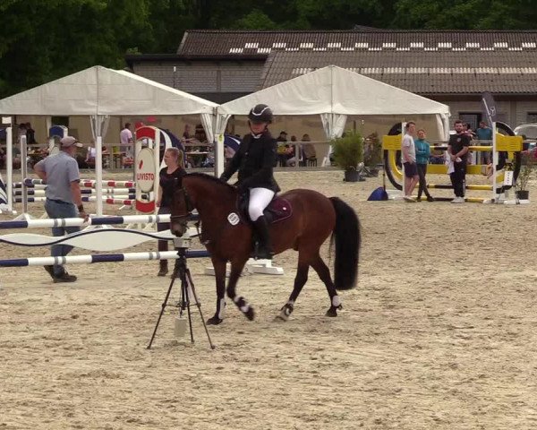 Reitturnier Kropp 2023