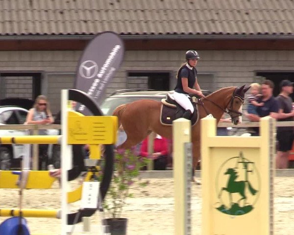 Reitturnier Kropp 2023