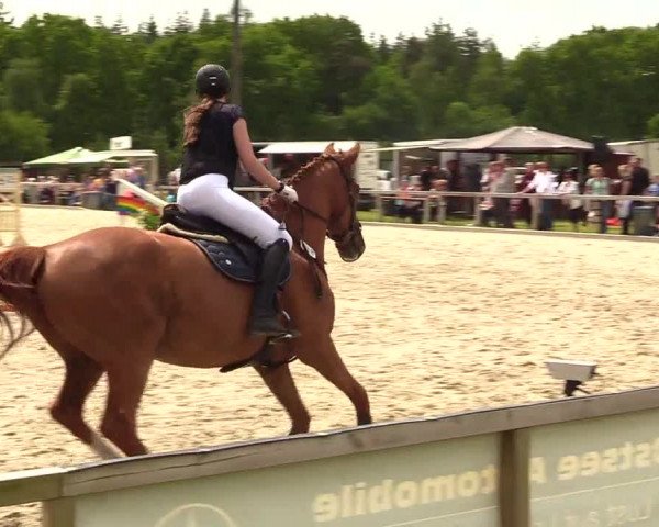 Reitturnier Kropp 2023