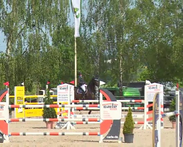 Reitturnier Landenhausen 2023