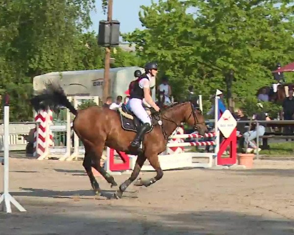 Reitturnier Landenhausen 2023