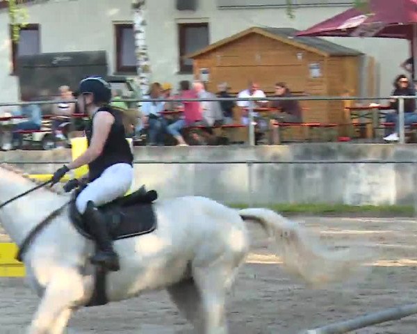 Reitturnier Landenhausen 2023