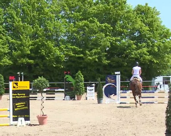 Reitturnier Landenhausen 2023