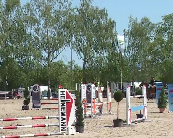 Reitturnier Landenhausen 2023