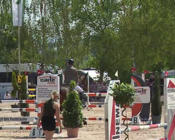 Reitturnier Landenhausen 2023