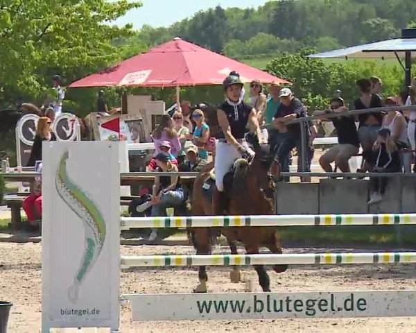 Reitturnier Landenhausen 2023
