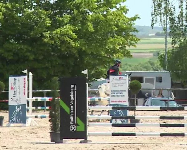 Reitturnier Landenhausen 2023