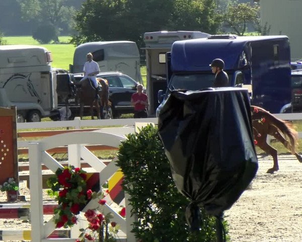 Reitturnier Isny-Rohrdorf 2021