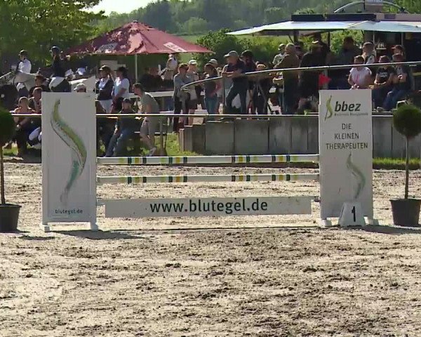 Reitturnier Landenhausen 2023