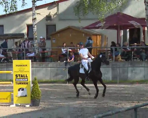 Reitturnier Landenhausen 2023
