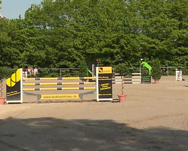 Reitturnier Landenhausen 2023