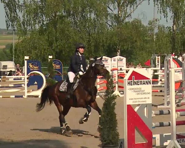 Reitturnier Landenhausen 2023