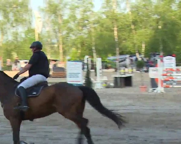 Reitturnier Landenhausen 2023
