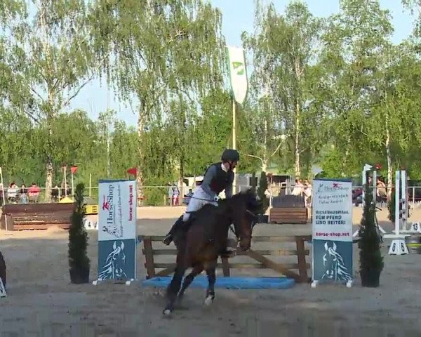 Reitturnier Landenhausen 2023