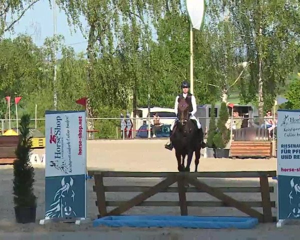 Reitturnier Landenhausen 2023