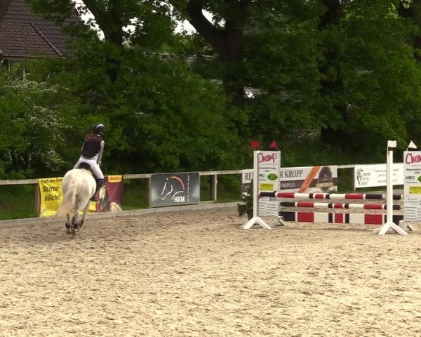 Reitturnier Kropp 2023