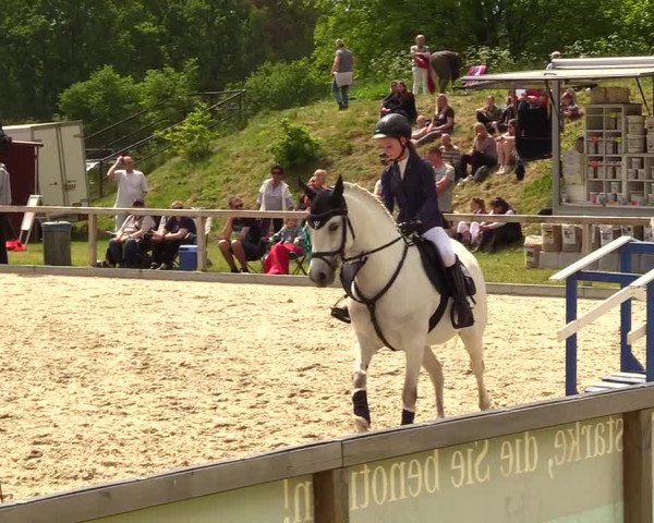 Reitturnier Kropp 2023