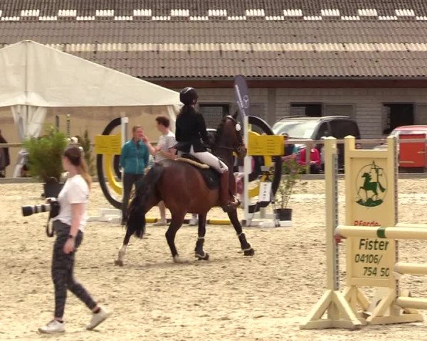 Reitturnier Kropp 2023